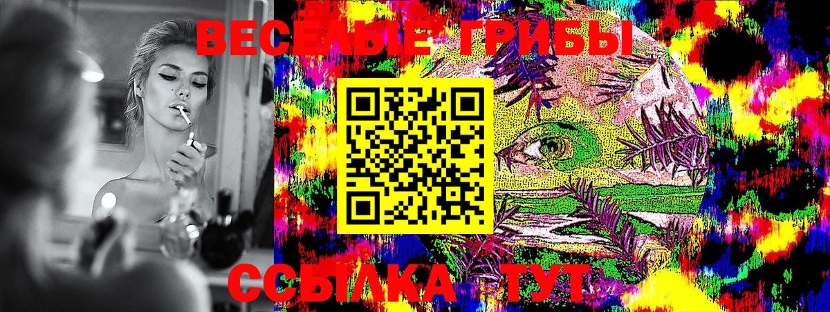 Псилоцибиновые грибы мухоморы Домодедово