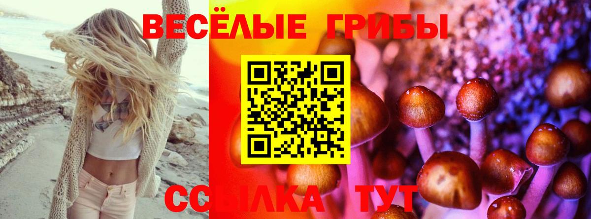 Галлюциногенные грибы Magic Shrooms  Вход с VPN  Псилоцибиновые грибы ЛСД  Домодедово 